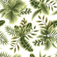 fondo de naturaleza de patrones sin fisuras con hojas de plantas tropicales y follaje de plantas. patrón botánico sin fisuras. papel pintado tropical. adornos de la selva. trópicos exóticos. diseño de verano. papel pintado natural vector