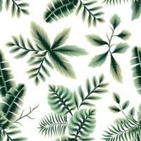 green banana leaves seamless pattern with tropical palm leaf and plants foliage on white background. nature background. jungle vector. botanical wallpaper. summer design print and textiles. spring vector