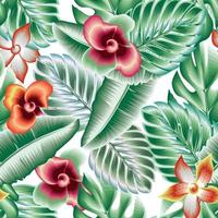 plátano verde exótico hojas de monstera patrón sin costuras con hojas de palma tropical y follaje de plantas sobre fondo blanco. papel pintado natural. estampado hawaiano de verano de moda. fondo floral. primavera. otoño vector