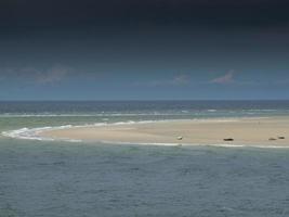 the island of Borkum in the north sea photo