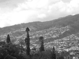 the island of Madeira photo