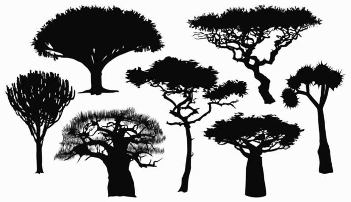 Collection with flat silhouettes of African trees. Flat design. Vector illustration