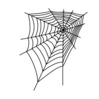 Spiderweb line vector illustration. Cobweb drawing.