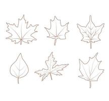 Set of autumn leaves. Vector line illustration of different maple leaves and other trees. Use for patterns, cards, poster design element, package, advertising.
