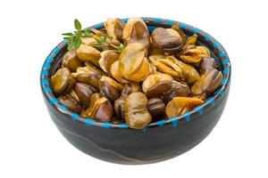 Broad beans in a bowl on white background photo