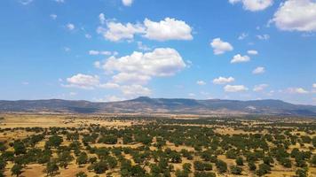 erialer Blick auf eine Steppe, die auf verschiedene Pflanzenarten hinweist, mit dem schönen bewölkten Himmel über dem Horizont video