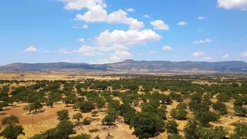 erialer Blick auf eine Steppe, die auf verschiedene Pflanzenarten hinweist, mit dem schönen bewölkten Himmel über dem Horizont video