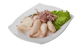 Boiled squid on the plate and white background photo