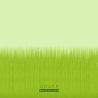 green grass background illustration vector