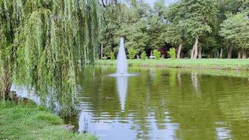 nature dans le parc de la ville près de l'étang avec fontaine. exemple de vidéo tournée sur caméra iphone 13 pro. video