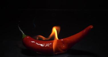 red burning hot chili pepper on dark background video
