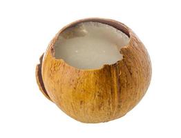 Coconut on white