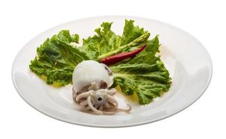 Boiled cuttlefish on the plate and white background photo