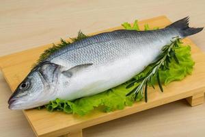 Raw whole seabass photo