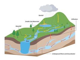 Watershed as water basin system with mountain river streams vector