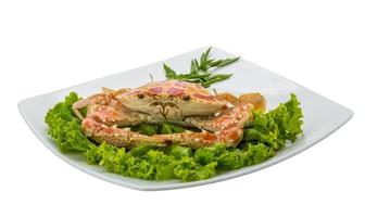 Boiled crab on the plate and white background photo