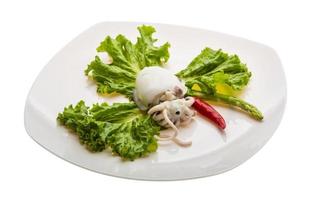 Boiled cuttlefish on the plate and white background photo