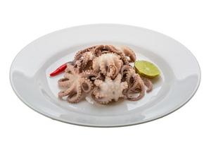 Boiled octopus on the plate and white background photo