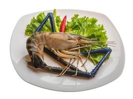 Freshwater prawn on the plate and white background photo