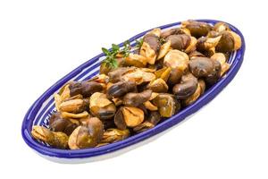 Broad beans in a bowl on white background photo