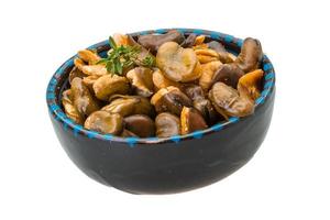 Broad beans in a bowl on white background photo