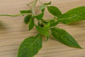 Bergamot leaves on wooden background photo