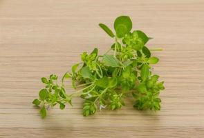 Oregano on wooden background photo