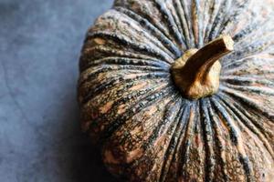 Close up of a pumpkin photo