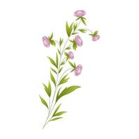 Flower Branch - Plant Leaves vector