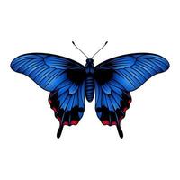 Blue Swallowtail Butterfly - Blue Butterfly Vector Illustration - Blue Morpho Butterfly