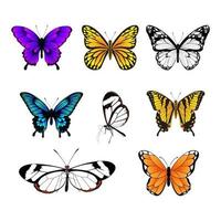 conjunto de mariposas - colección de mariposas coloridas vector