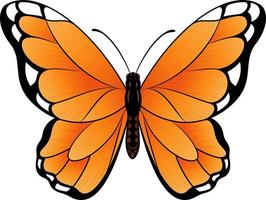 Ilustración de vector de mariposa monarca - hermosa mariposa tropical