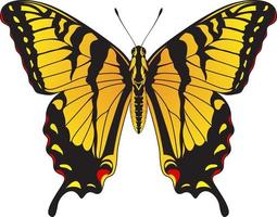 Tiger Swallowtail Butterfly - Yellow and Black Striped Butterfly Vector Illustration