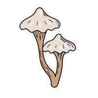 Cute mushroom in doodle style. Poisonous mushroom. Vector isolated hand illustration