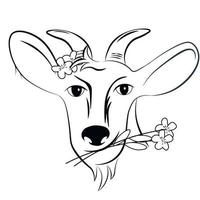 Goat chewing a flower vector illustration. Template for dairy and milk farm business - shop, market, packaging and menu. Isolated on a white background.