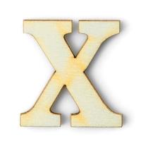 letra del alfabeto de madera con sombra x