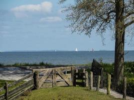 the dutch city of Enkhuizen photo