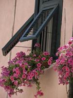 cinque terre in italy photo