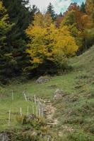 the german alps photo