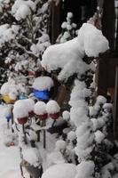 horario de invierno en el jardín foto