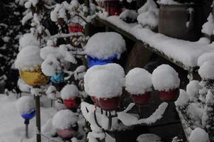 invierno en el jardin foto