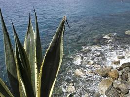 cinque terre in italy photo