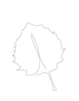 line art maple leaves. outline vector. Autumn leaf one line illustration. vector