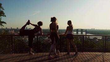 grupo de mujeres entrenamiento fitness al aire libre video