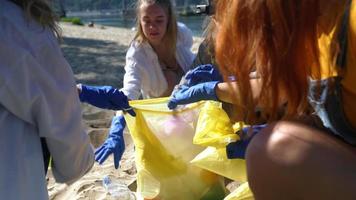 plage polluée nettoyée par un groupe de personnes video