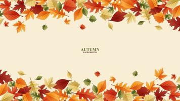 Autumn backgrounds with lots of leaves, thanksgiving template background vector, autumn concept 2022.eps vector