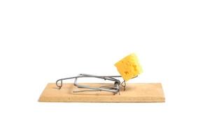Loaded mousetrap with a piece cheese on a white background.