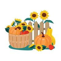 conjunto de cosecha - calabaza, girasoles, canasta, manzanas, valla. vector