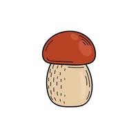 Cute edible mushroom in doodle style. Ingredients for cooking, salads. Autumn plant harvesting. Vector hand illustration