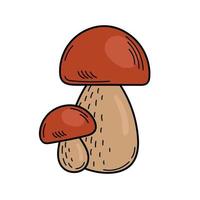 Cute edible mushroom in doodle style. Ingredients for cooking, salads. Autumn plant harvesting. Vector hand illustration